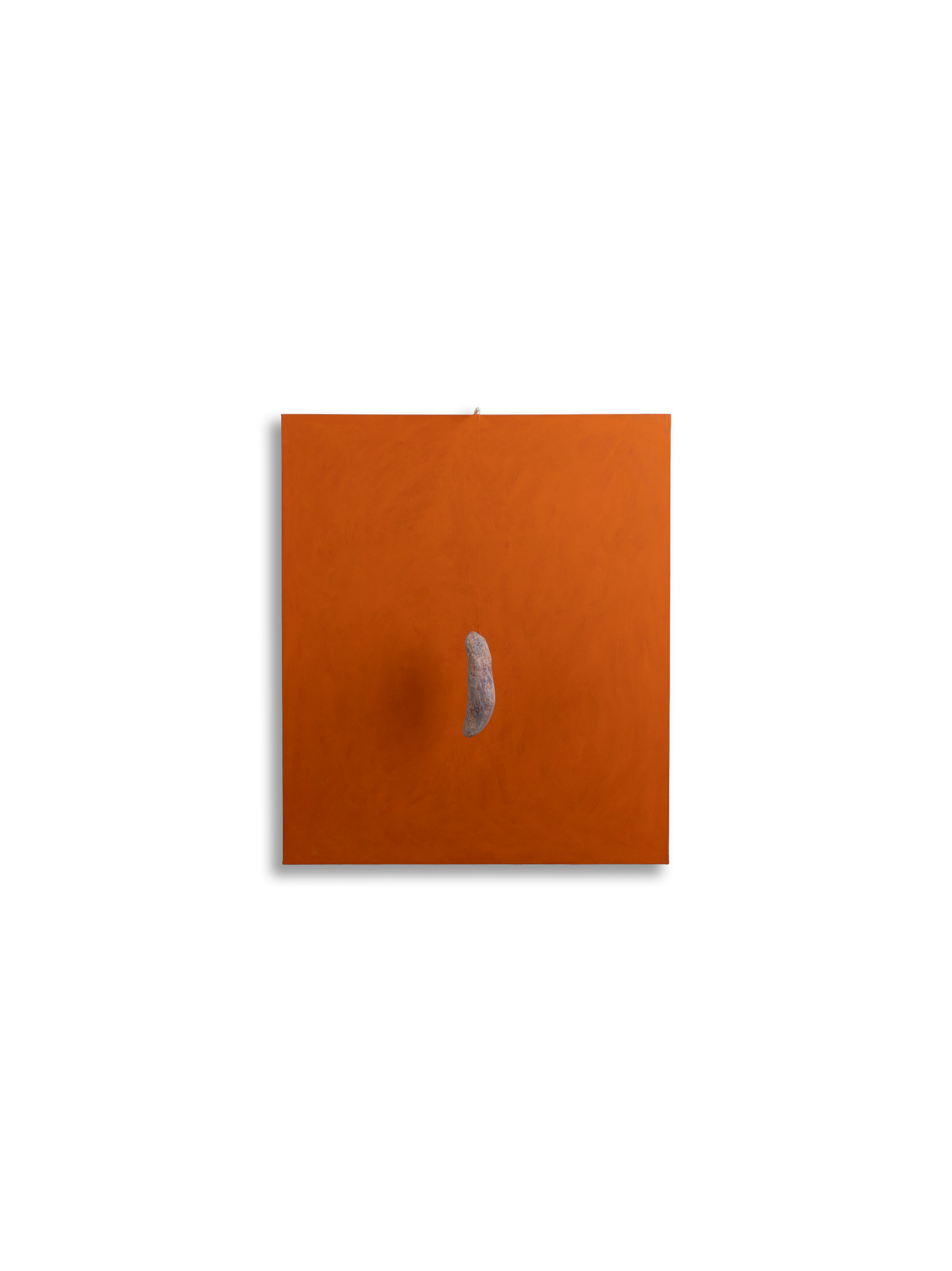 n39 Forma cm 70x60 2026