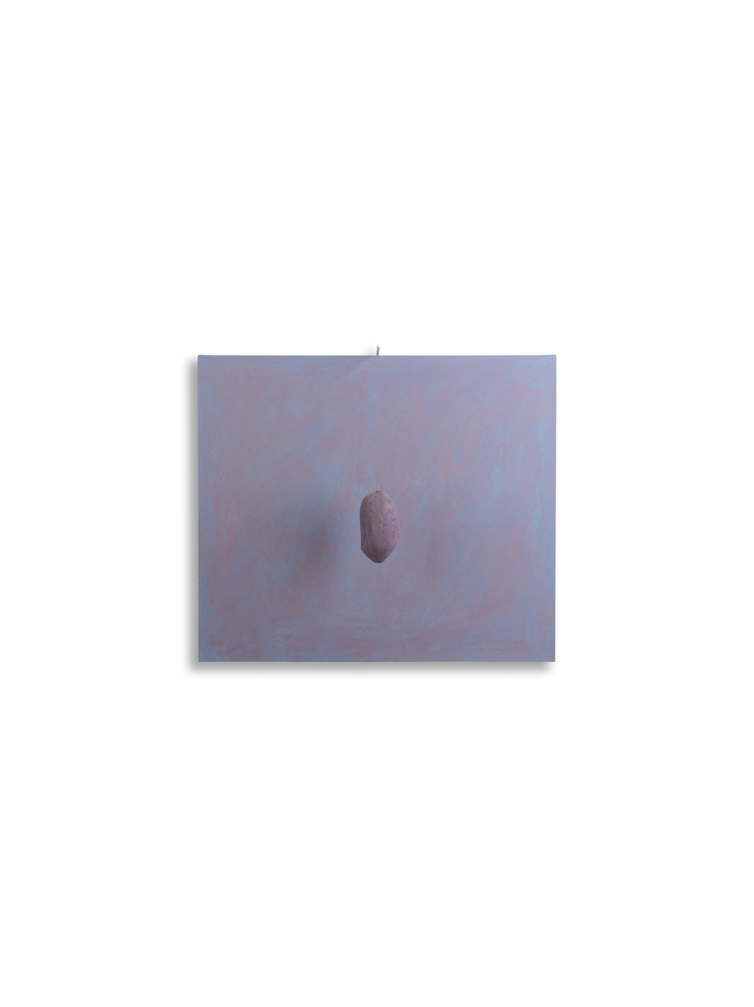 n8 Seme 70x60