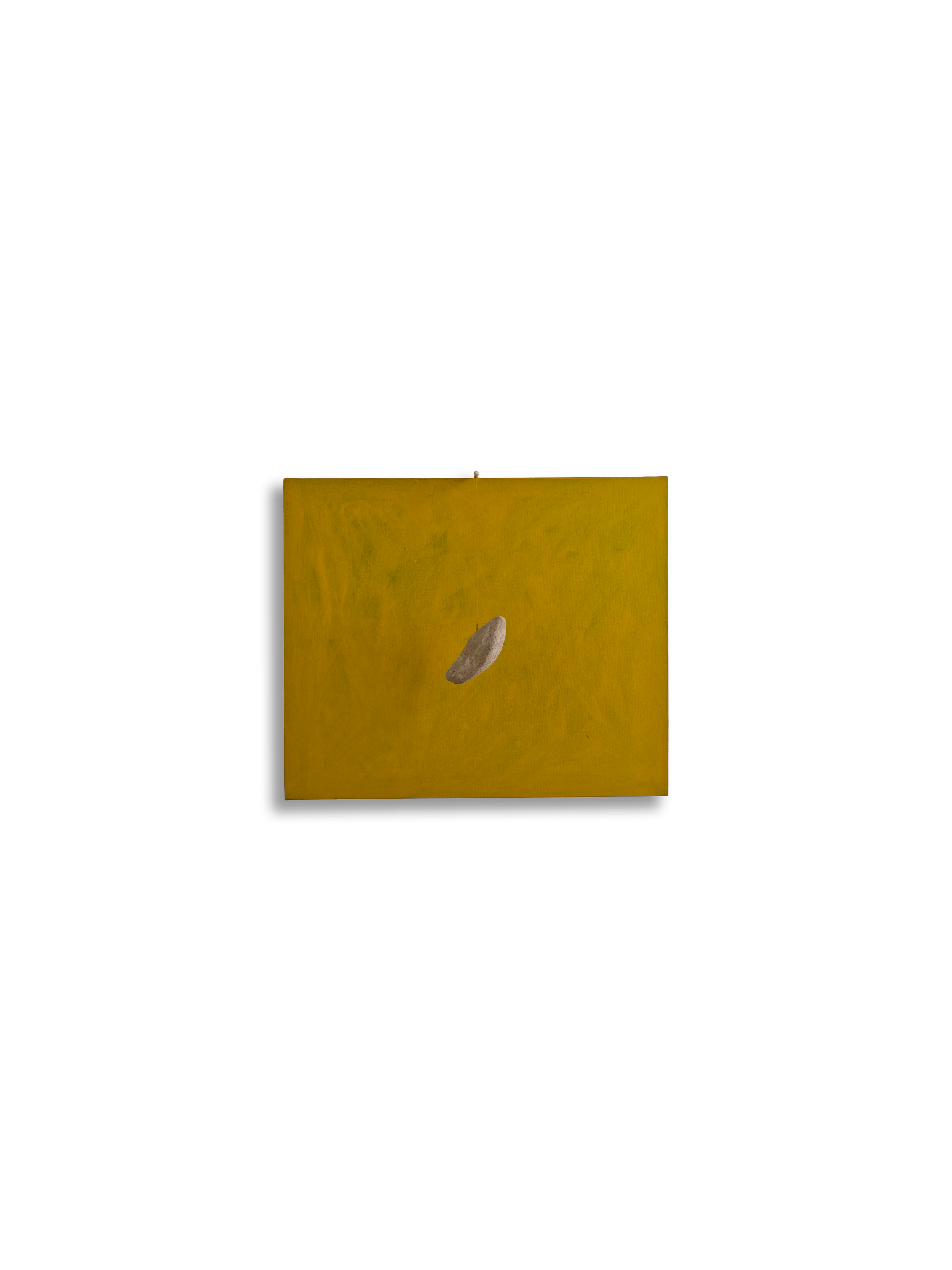 n57 Foglia cm 60x50 2026