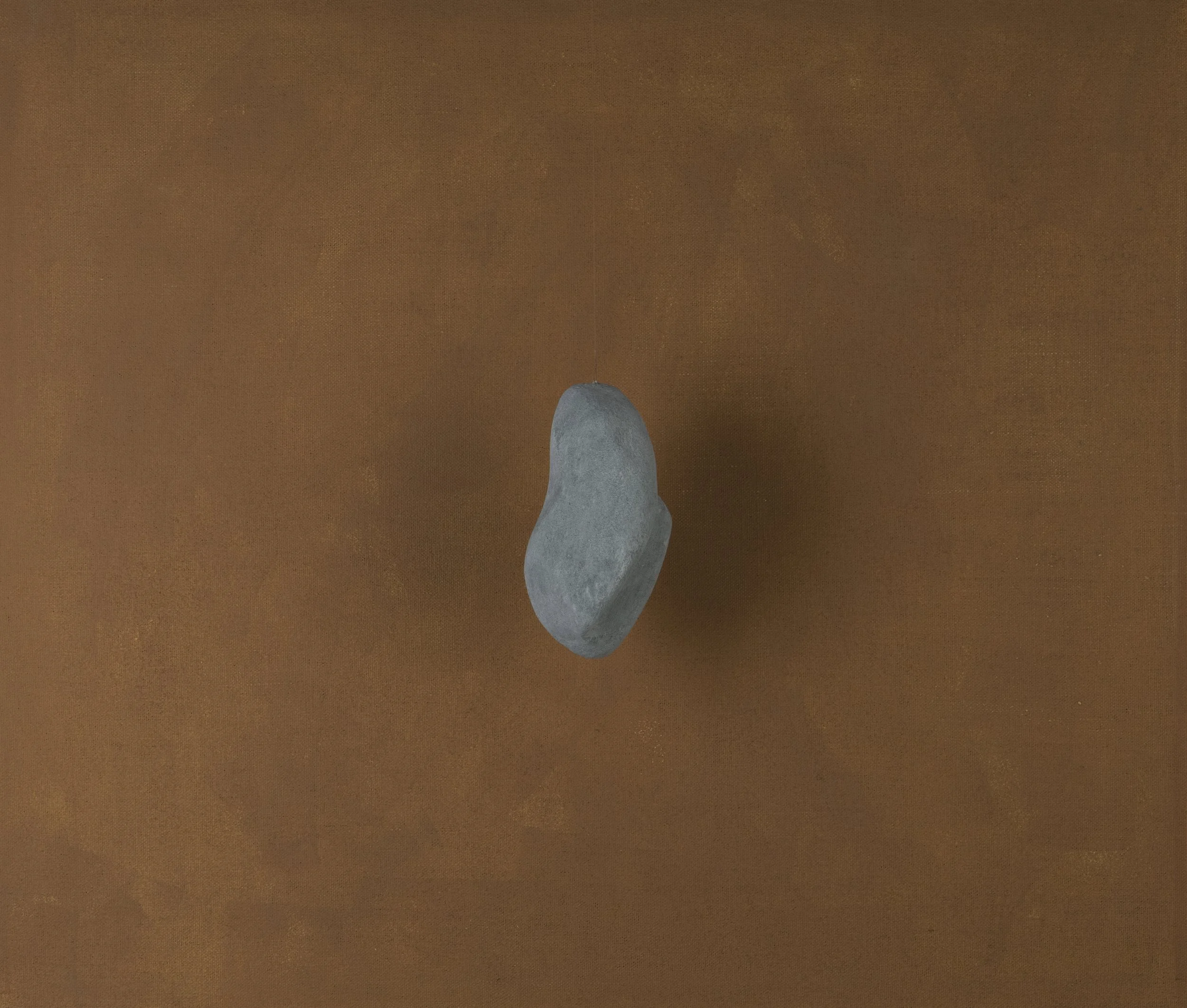 Una pietra grigia su uno sfondo marrone.