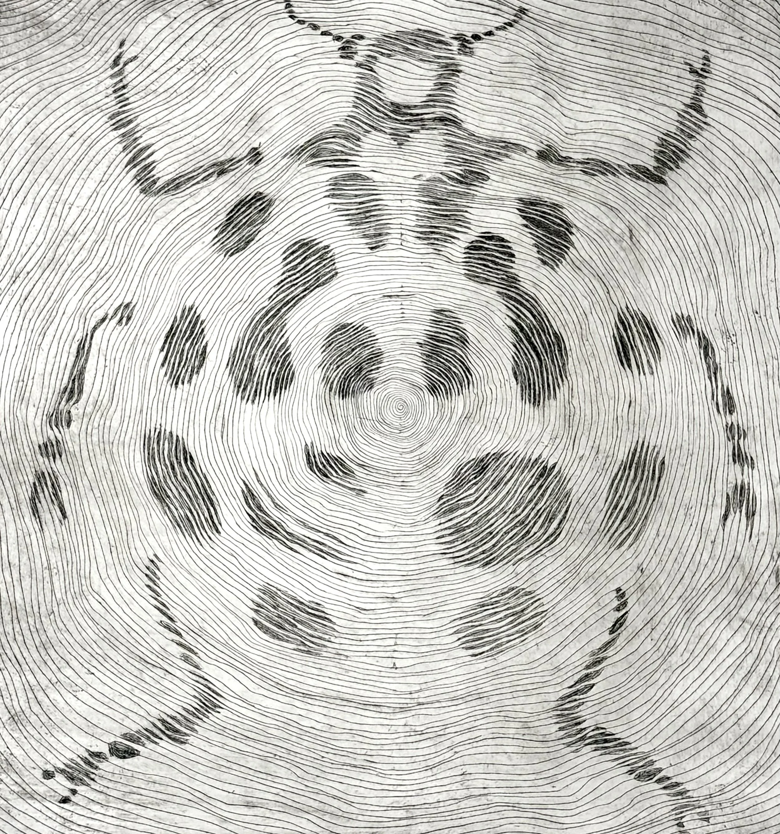 Beetle Claude Mellan, Intaglio Drypoint, 9 x 9 in