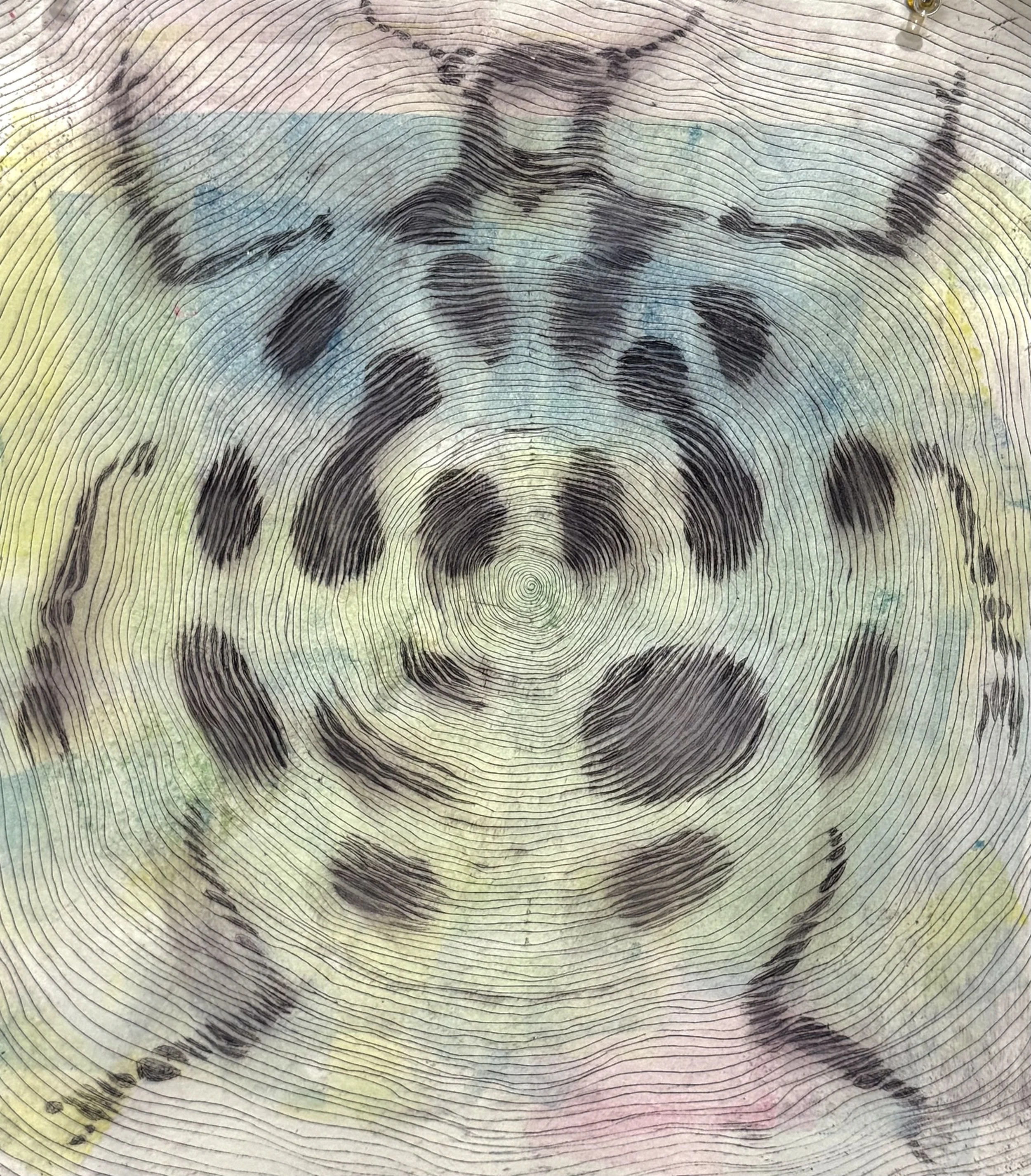 Beetle Claude Mellan, Intaglio Drypoint, 9 x 9 in