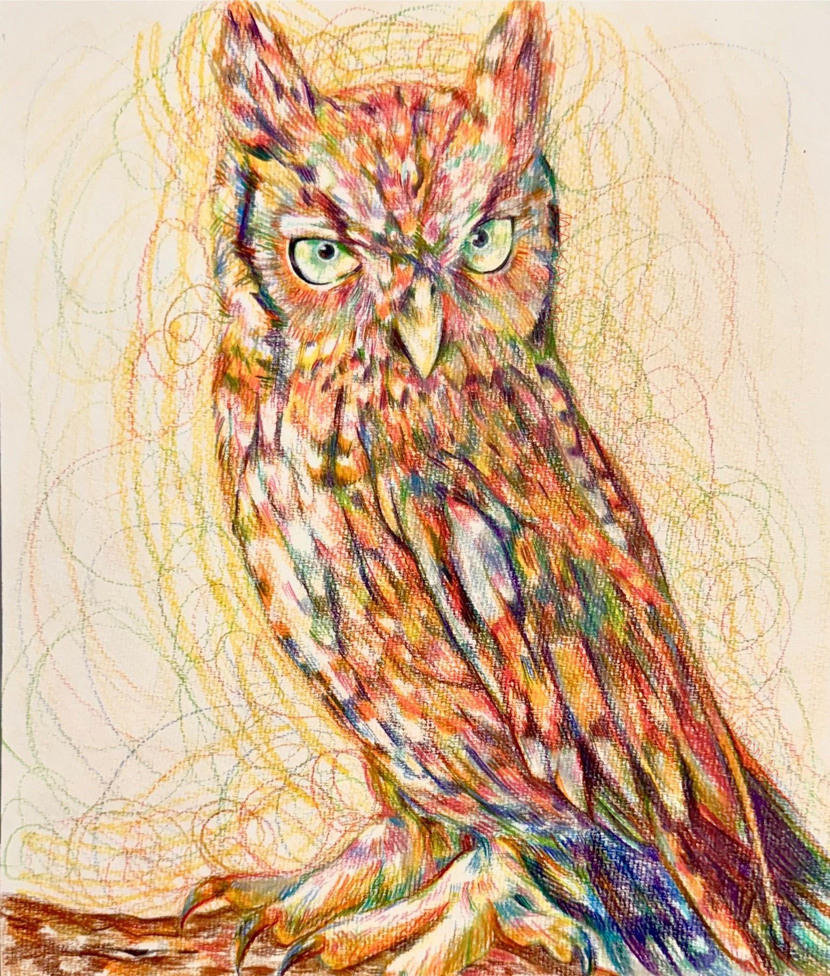 Owl, Colored Pencil, 11 x 14 in