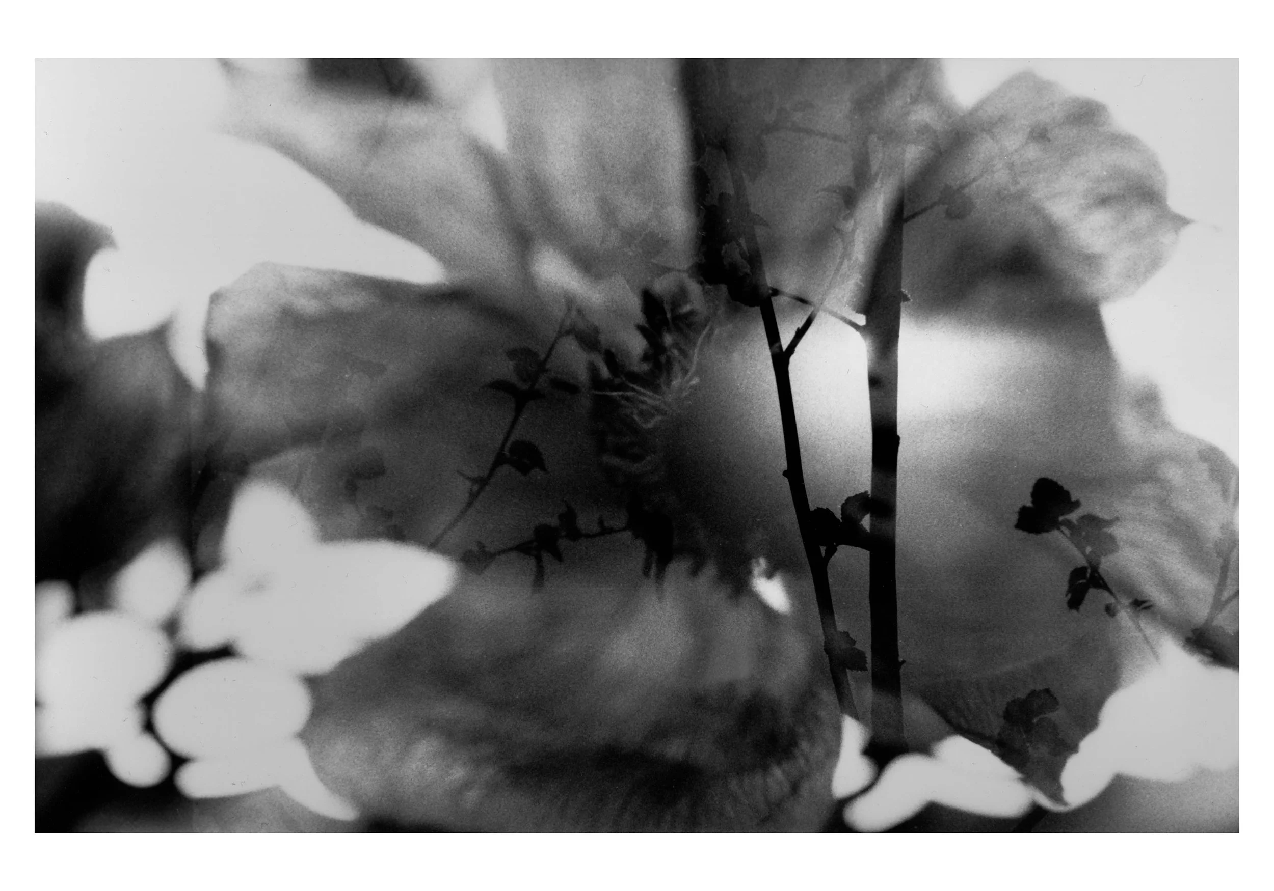 Another perspective, 2025