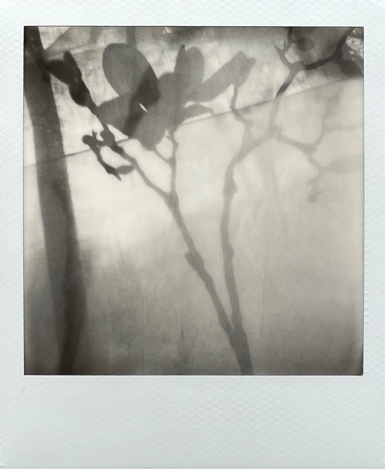 Wonders between, 2026