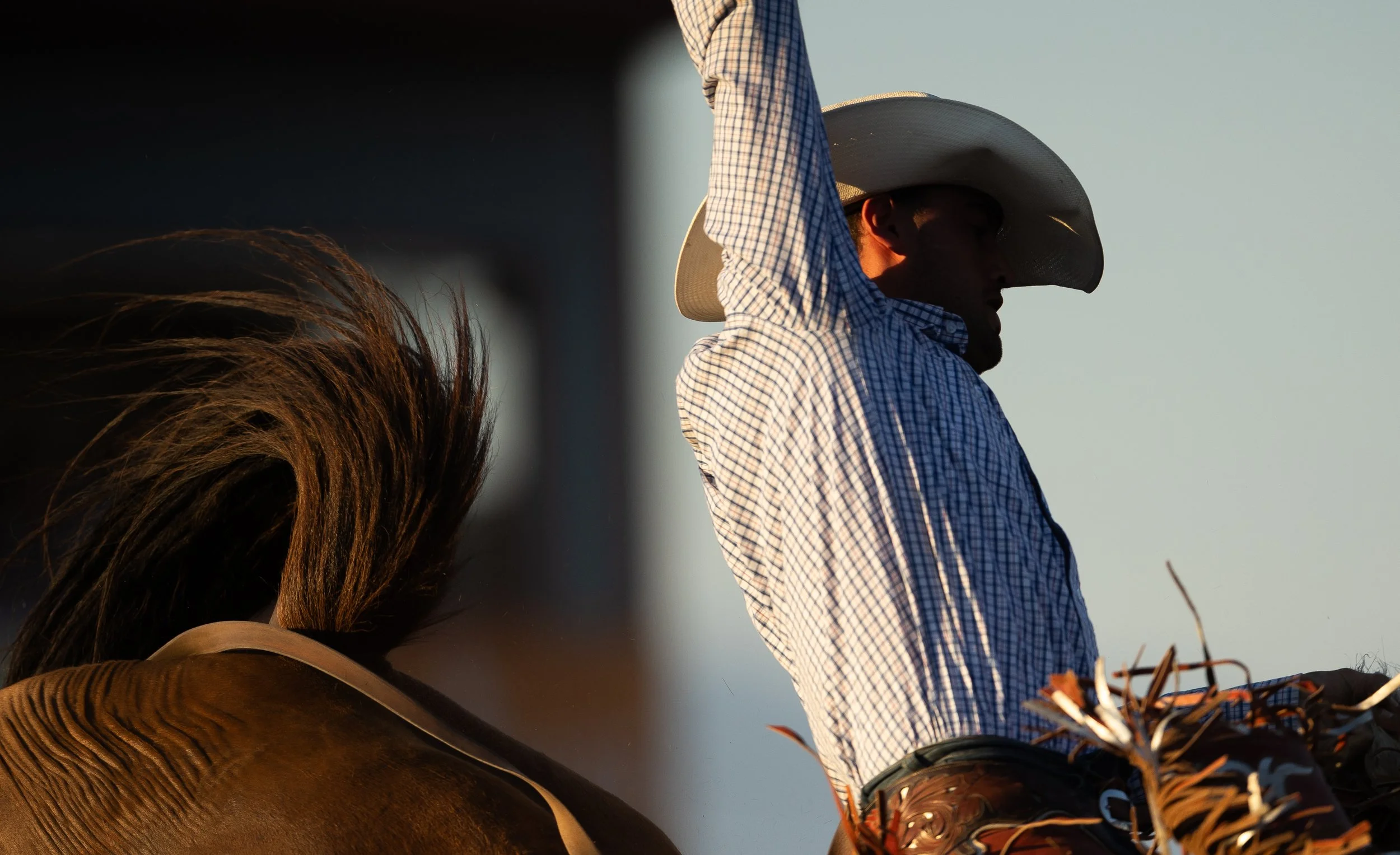 Cowboy wearing a plaid shirt and a large hat, riding a horse, with part of the horse's mane visible.