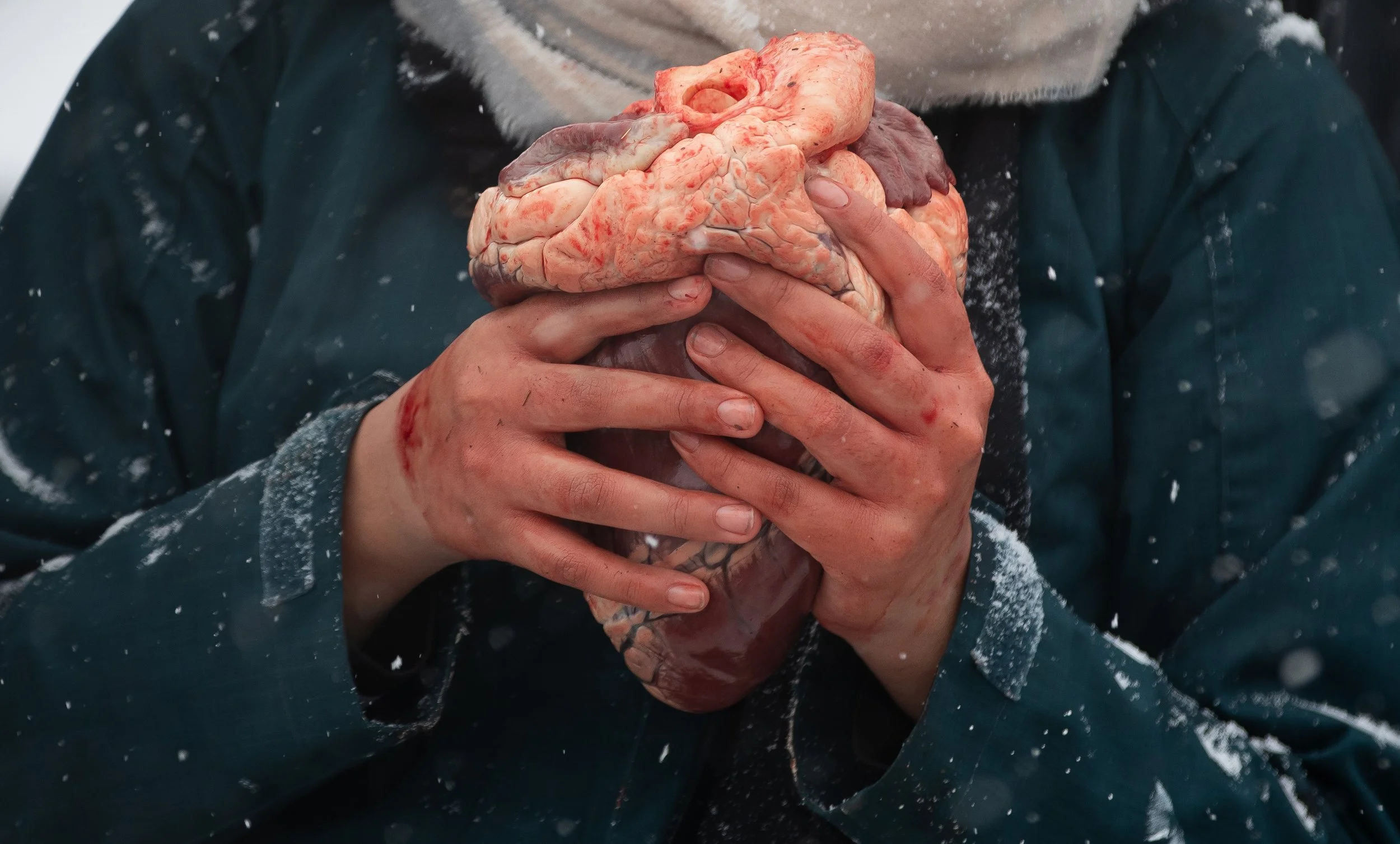 bison harvest-18.jpg