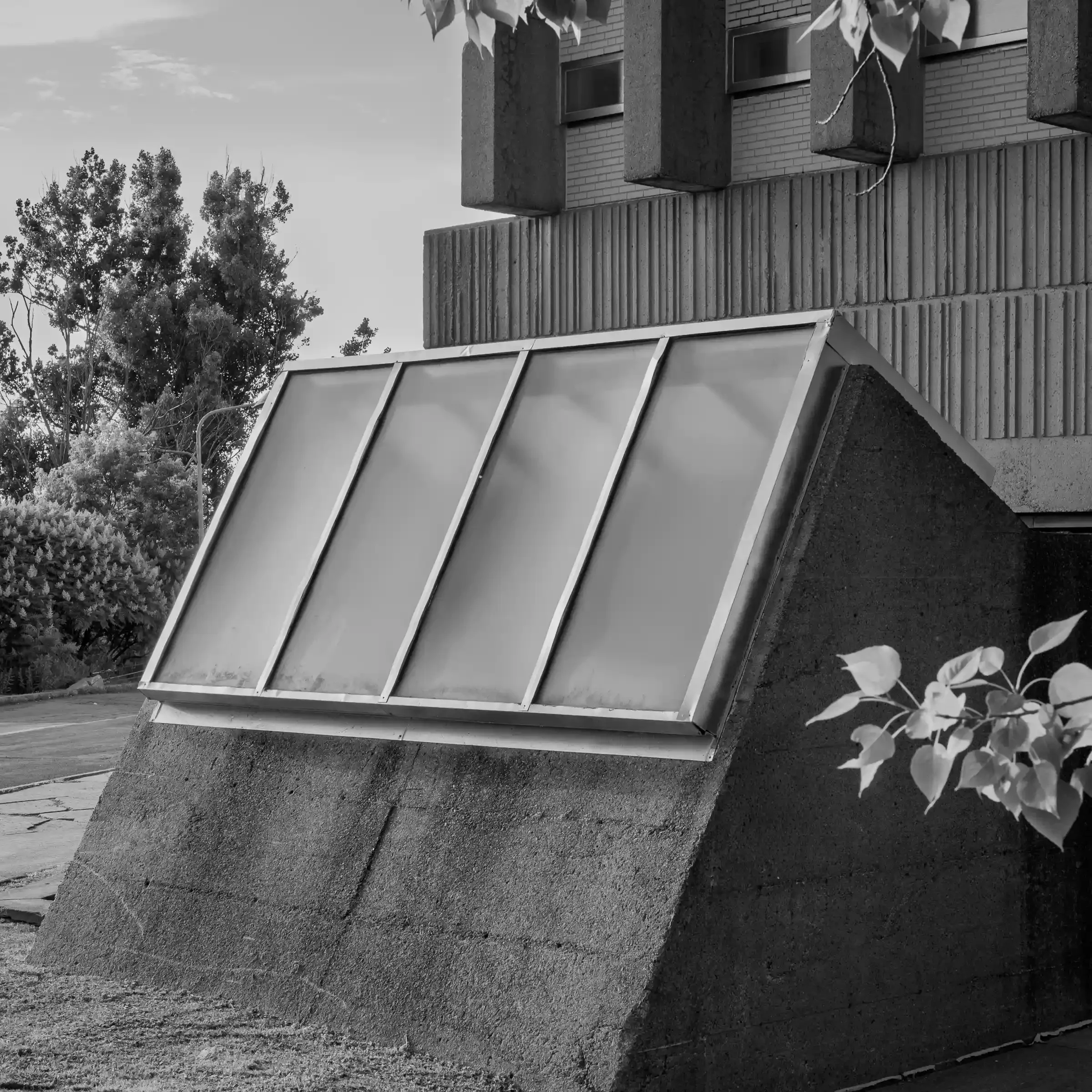 Côte-des-Neiges—Notre-Dame-de-Grace, 2025