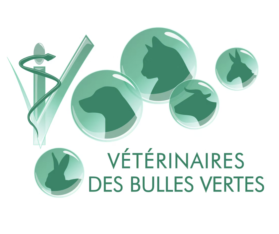 Clinique vétérinaire des bulles vertes _ Saint-Galmier _ vétérinaire comportementaliste _ éthologie clinique _  Rhône-Alpes