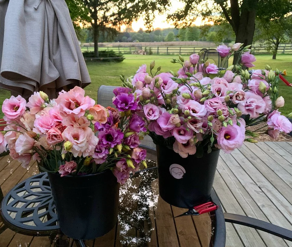 Two black buckets filled with pink and purple flowers on a wooden outdoor table at sunset, with trees and a fence in the background.