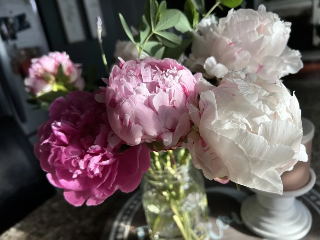 A bouquet of pink and white peonies in a glass vase on a table.