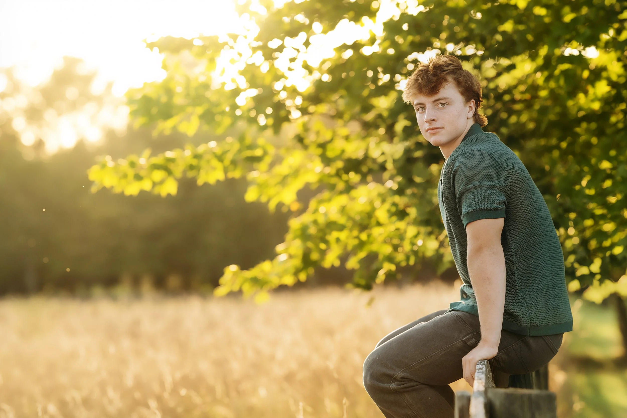 A young man with curly brown hair sitting on a wooden fence in a park during sunset, wearing a dark green polo shirt and dark pants, with trees and a field in the background.