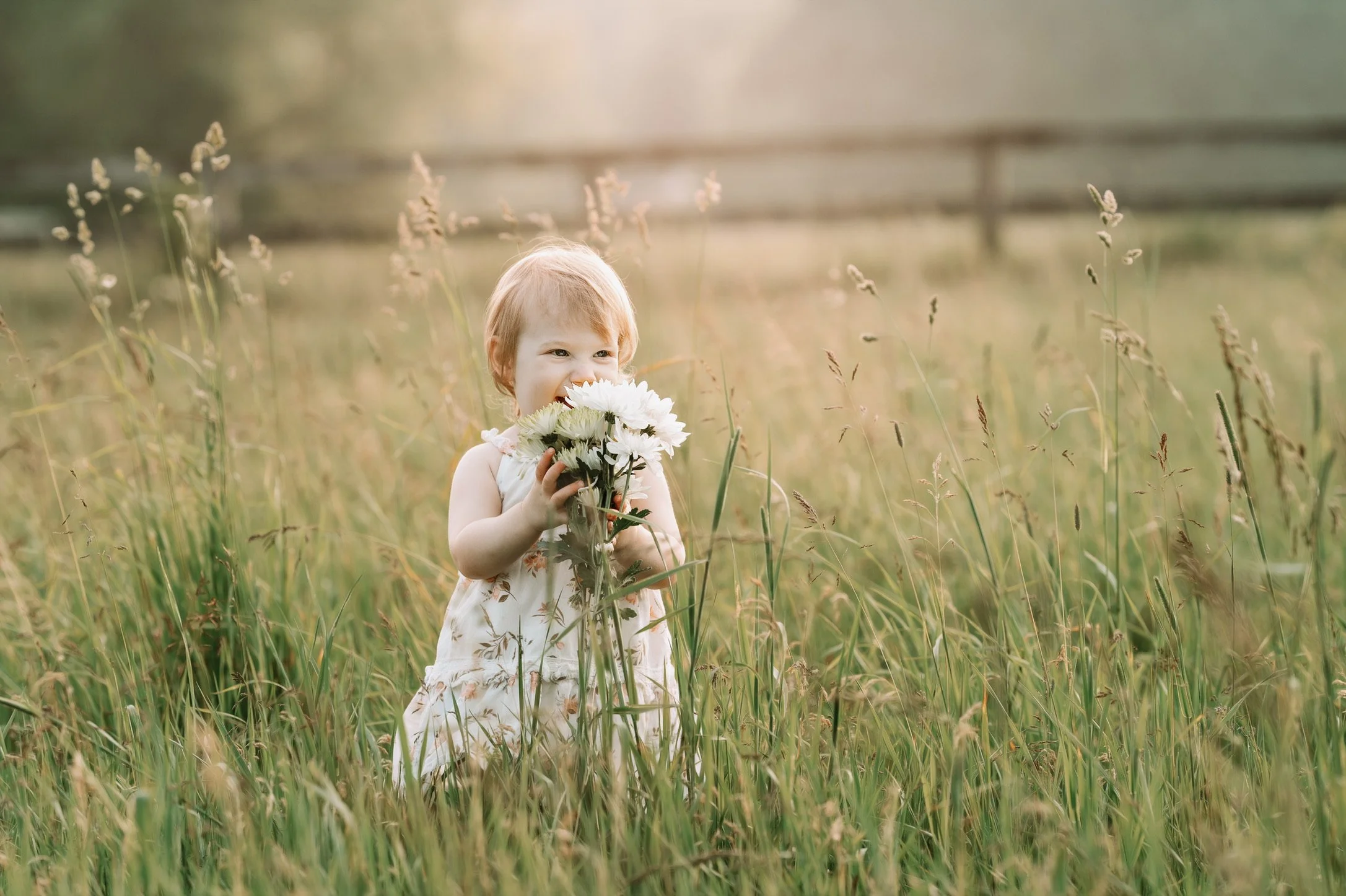 A young girl in a floral dress holding a bouquet of white flowers in a grassy field with sunlight shining in the background.