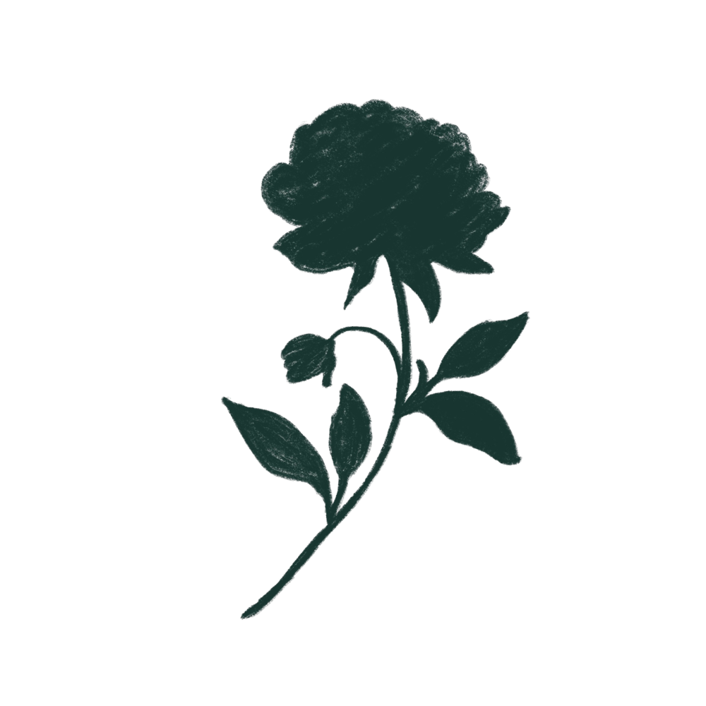 A dark-colored, digitally illustrated flower with a large bloom, smaller bud, and several leaves, on a black background.