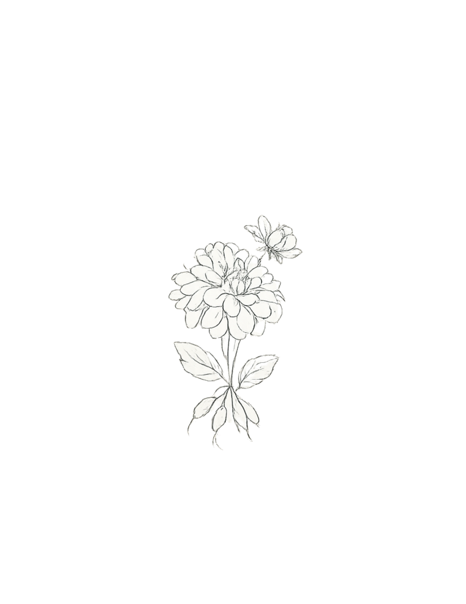 Black and white illustration of a flower with multiple petals, leaves, and a butterfly perched on one of the petals, next to a purple and pink rectangular object.