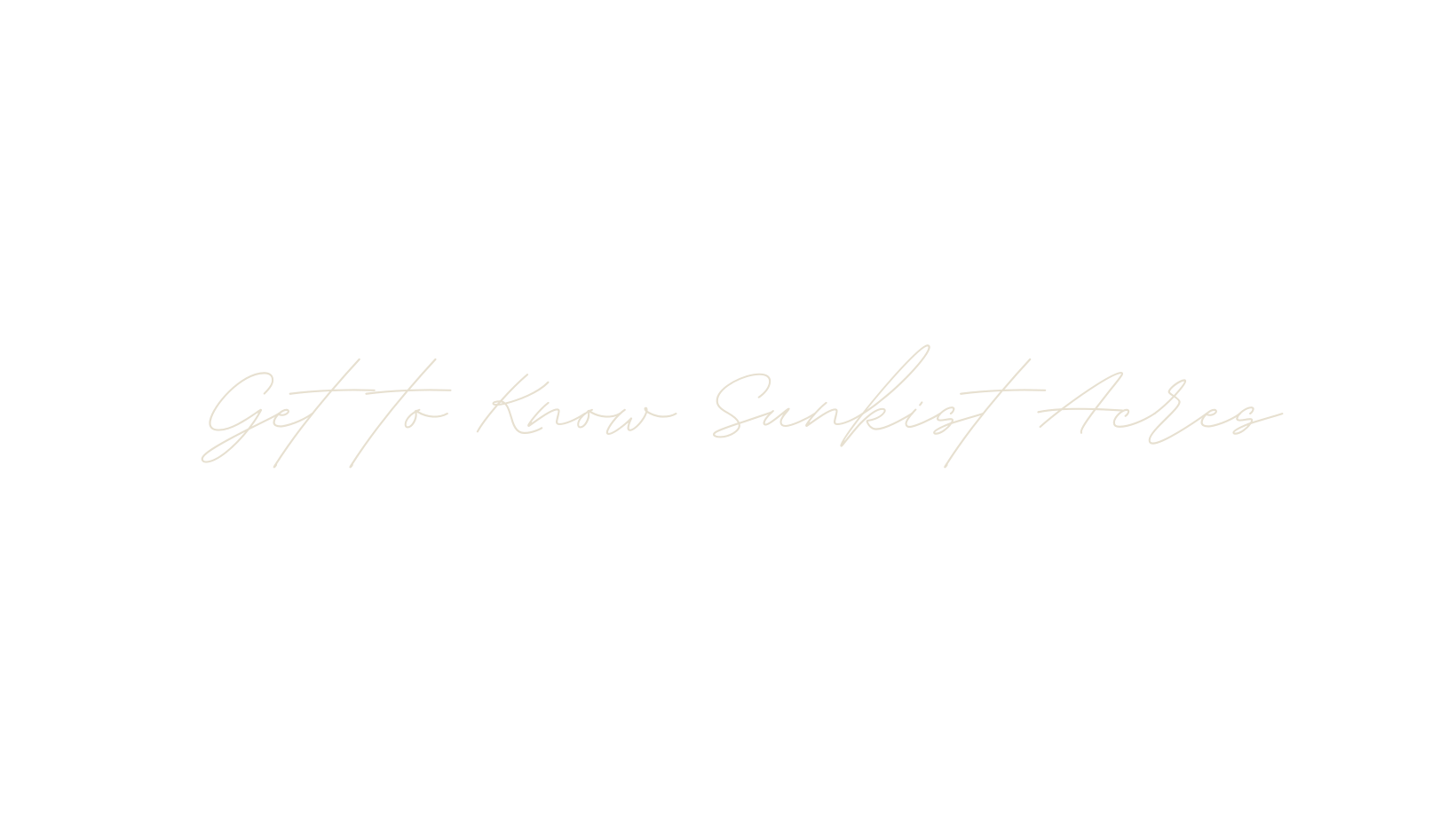 Black background with white cursive text that says "Get to Know Sunrist Abes".