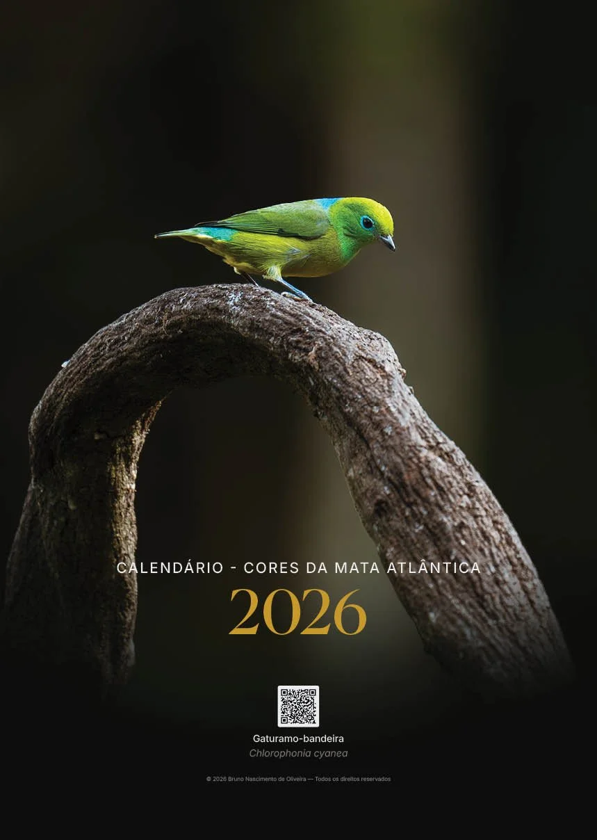 Capa do calendário 2026 com uma ave verde de bico curto posada em um galho de árvore, fundo escuro, texto em português sobre as cores da Mata Atlântica.
