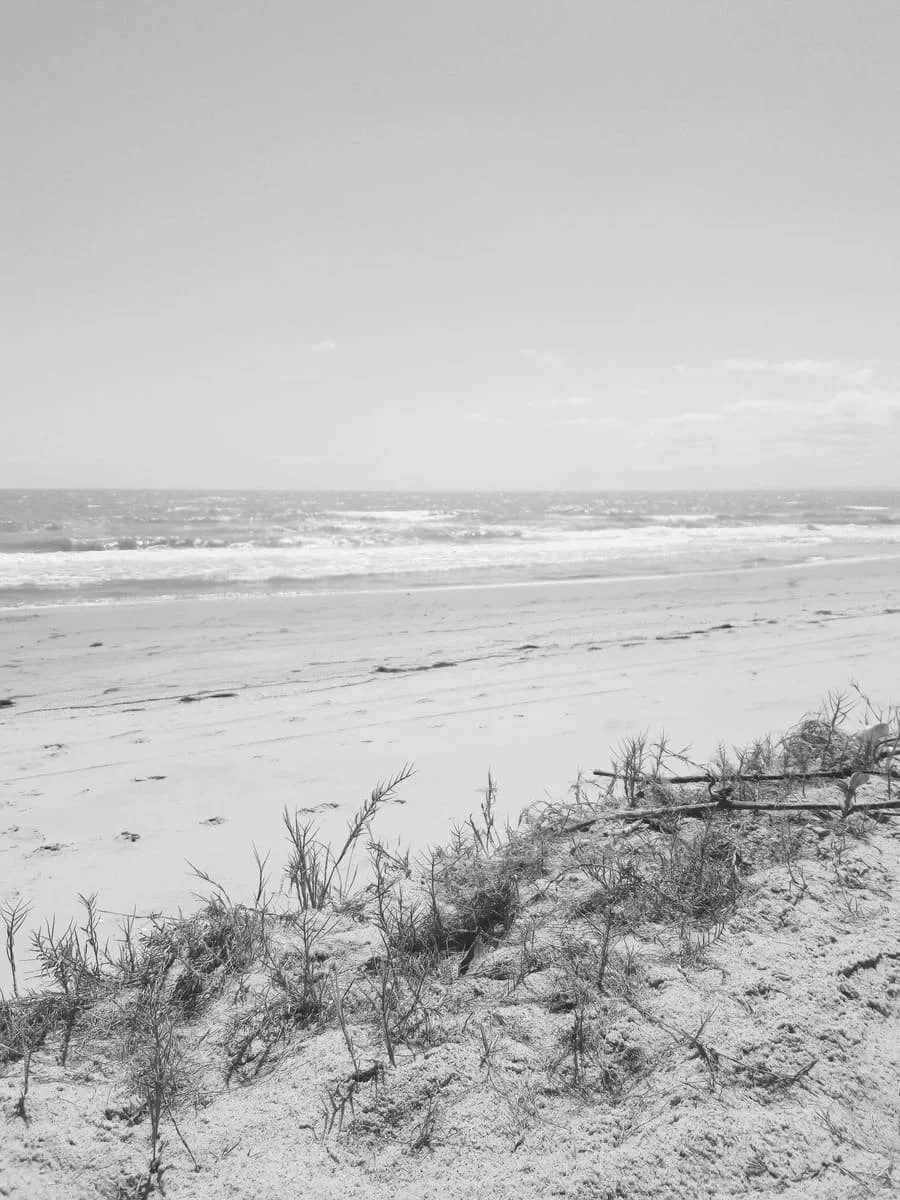 Black and white photo of a beachfront with sandy dunes, sparse vegetation, waves in the ocean, under a partly cloudy sky.