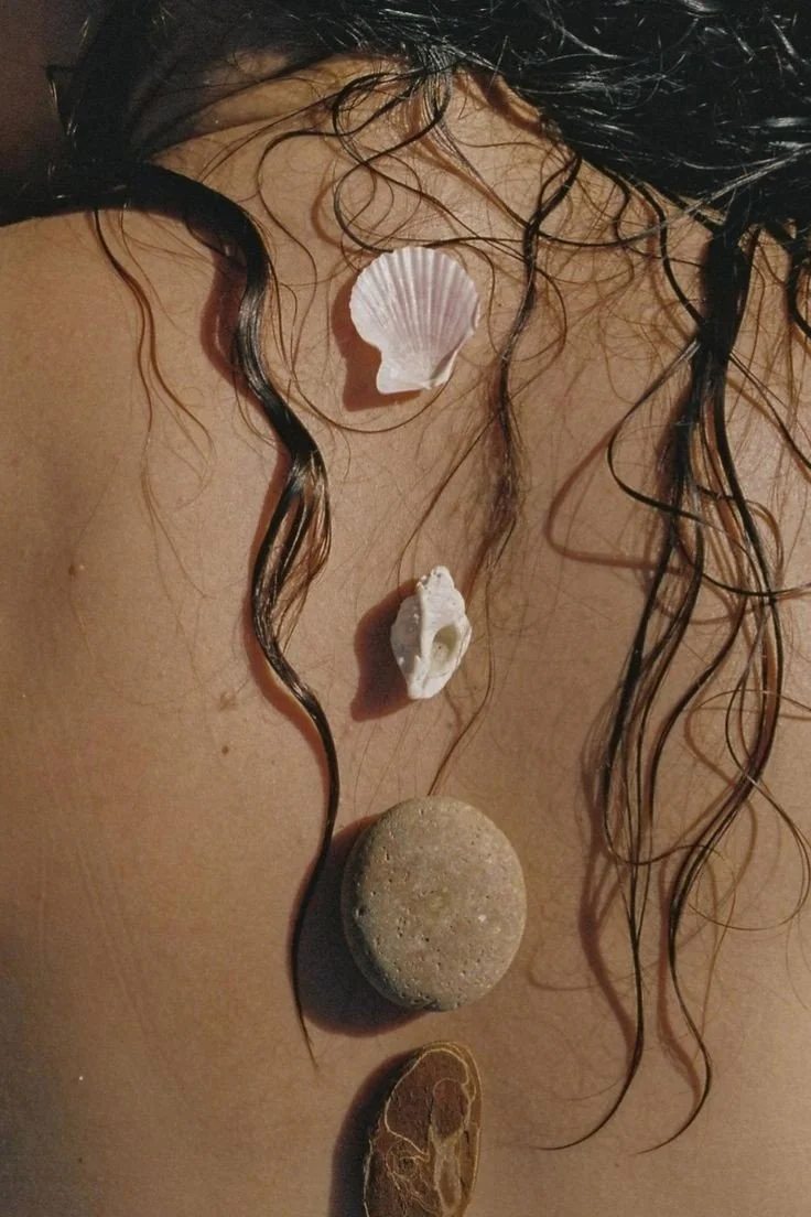 Four stones and two seashells laid out in a vertical line on a person's back, with wet dark hair around