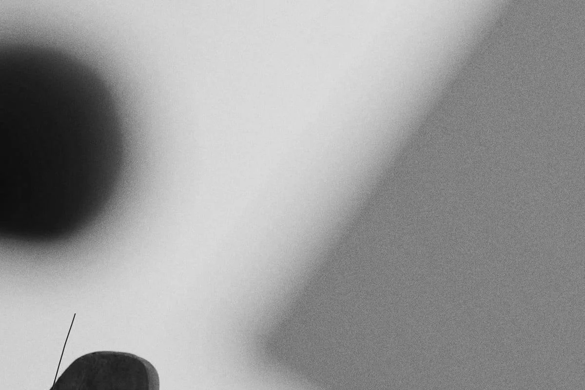 Close-up of a microphone in black and white.