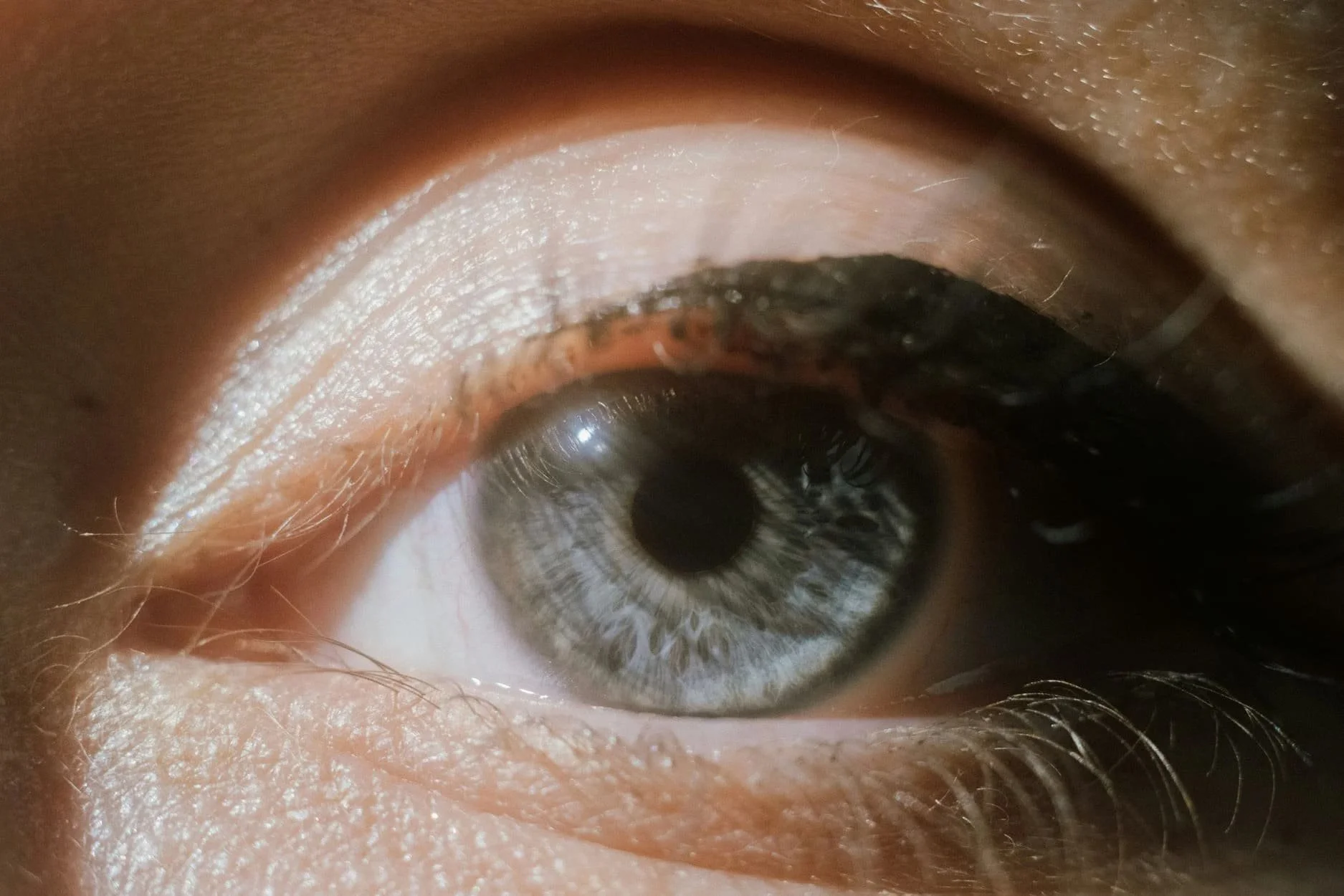 Close-up of a human eye, showing the iris, pupil, eyelashes, and surrounding skin.