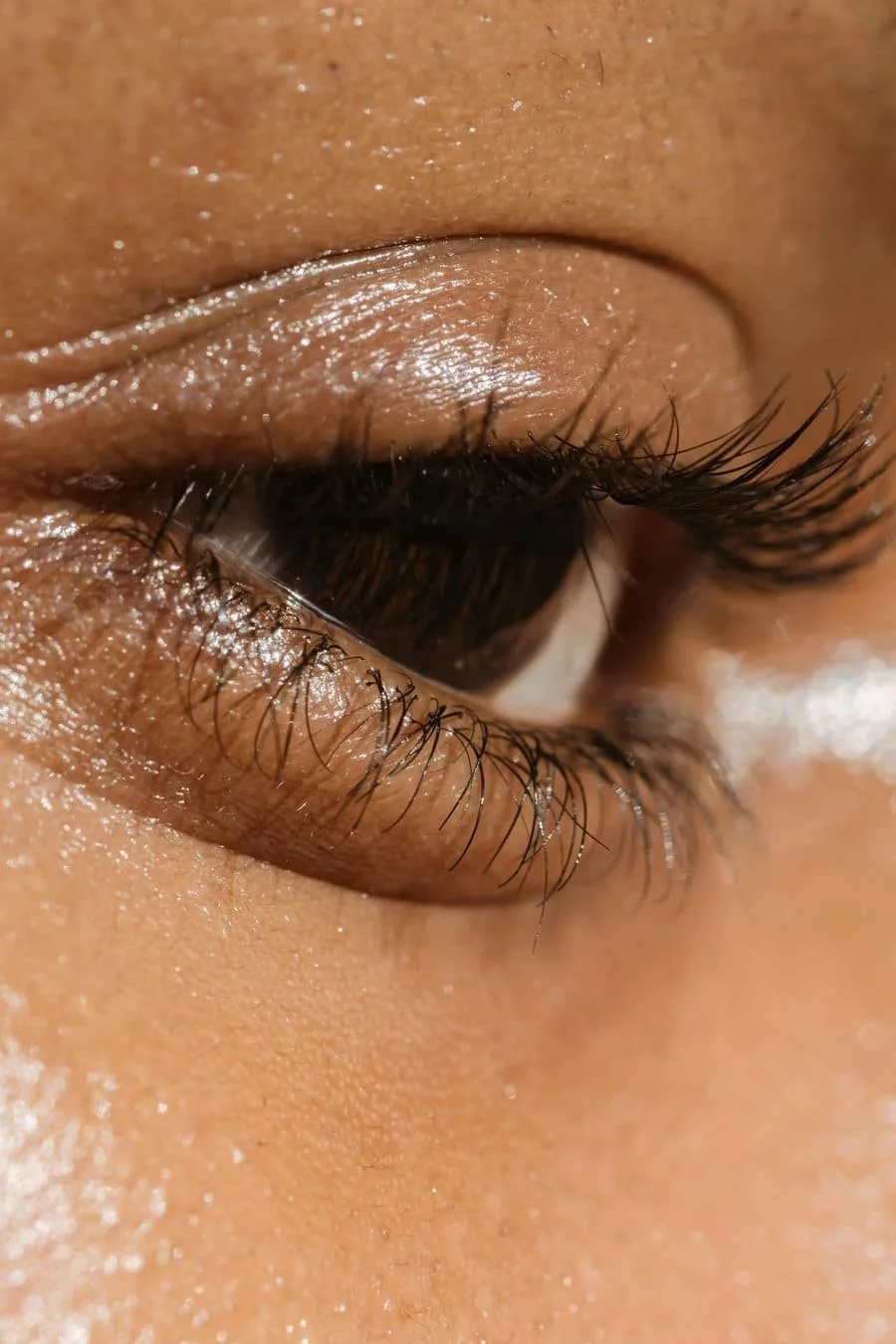 Close-up of a person's closed eye showing detailed eyelashes, eyelid, and surrounding skin with a natural skin tone.