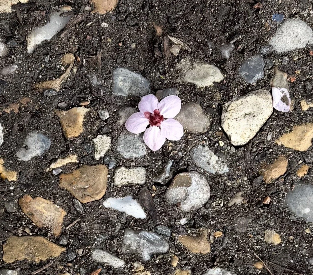 What we pay attention to, matters