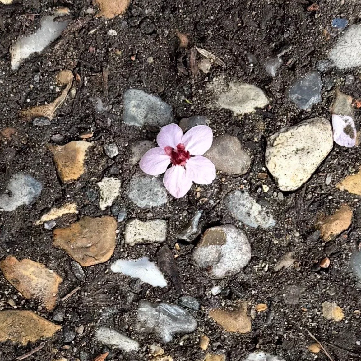 Have you ever learned a new word&hellip; and then suddenly it&rsquo;s *everywhere*? 

Or bought a certain pair of trainers and started seeing them on everyone?

It&rsquo;s not that the world changed overnight. 

It&rsquo;s that your brain started mar