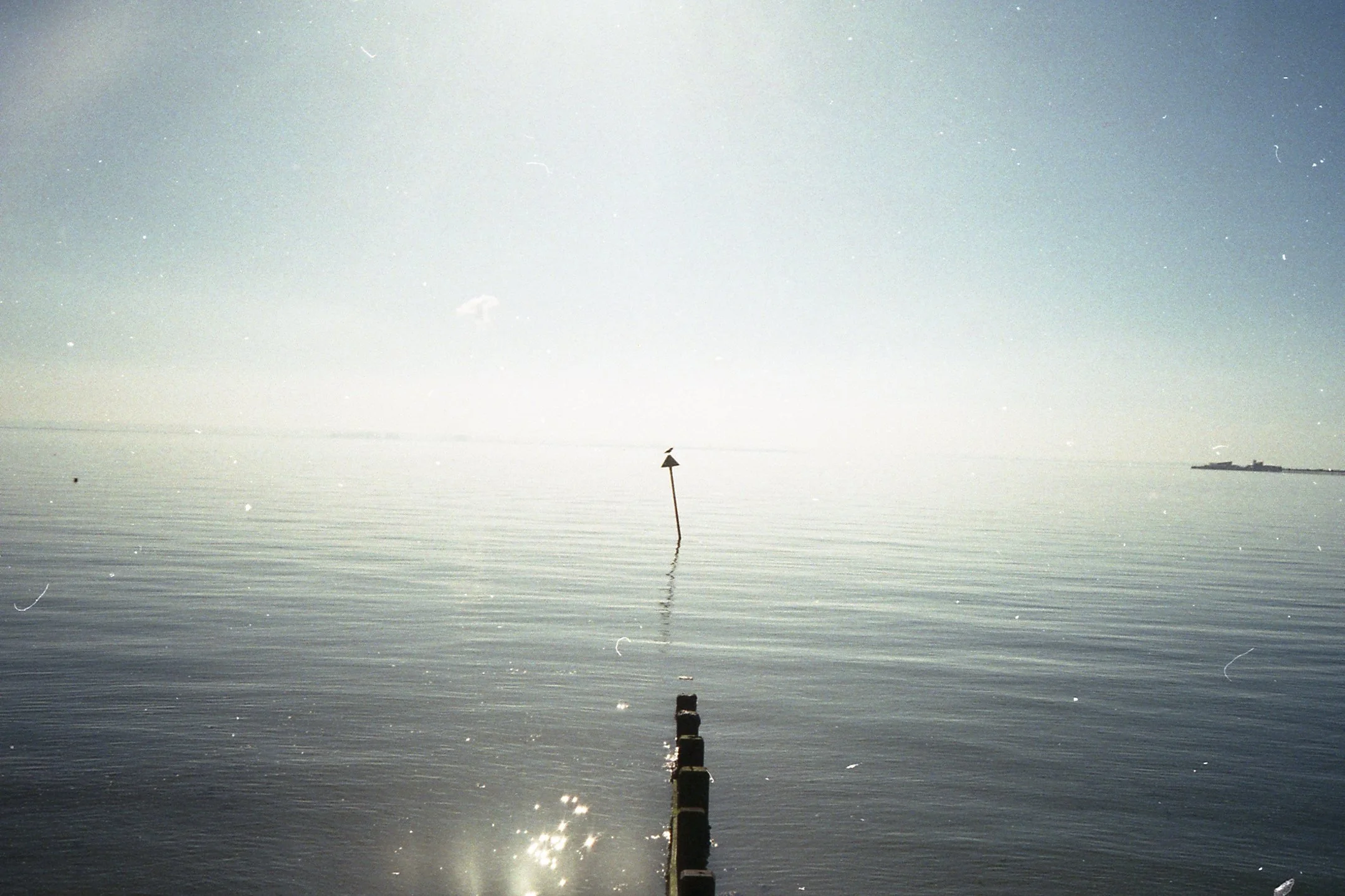 A serene body of water with a wooden dock extending into the water. There is a navigation marker in the distance and a shoreline with structures in the background, with the sun shining brightly overhead.