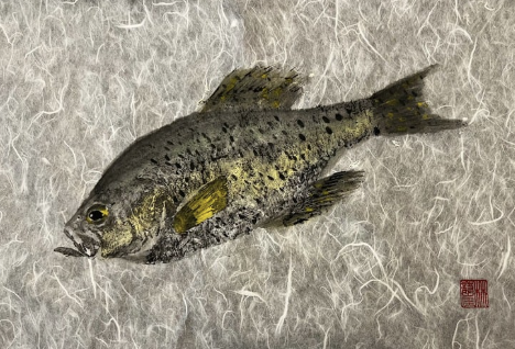 A freshwater fish with a greenish-gray body, black spots, and yellow accents on the fins, lying on a textured surface.