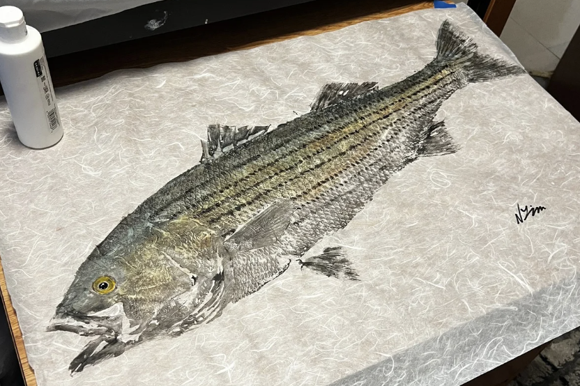 A detailed illustration of a fish, likely a bass, on a textured paper surface with the artist's signature in the lower right corner.