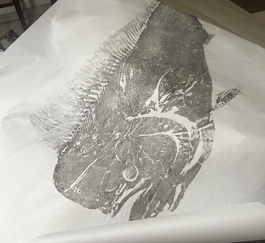 Black and white print of a horse skull on paper.