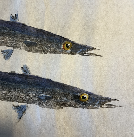Two fish with yellow eyes and dark bodies, positioned horizontally on a light background.