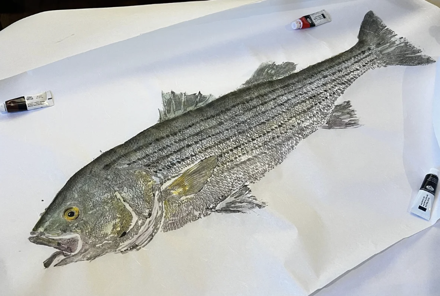 A realistic art piece of a fish, possibly a bass, created with charcoal or pencil on paper, with art supplies like charcoal sticks or pencils nearby.
