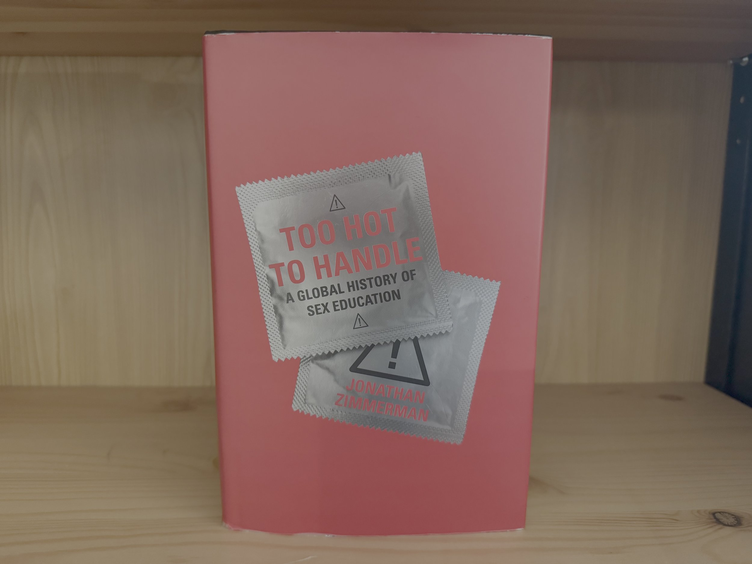 What We Learned in School About Sexuality
