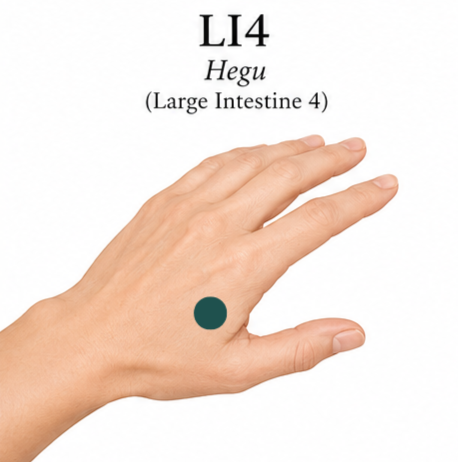 Picture of a hand with a green dot showing location of acupuncture point Large Intestine 4.