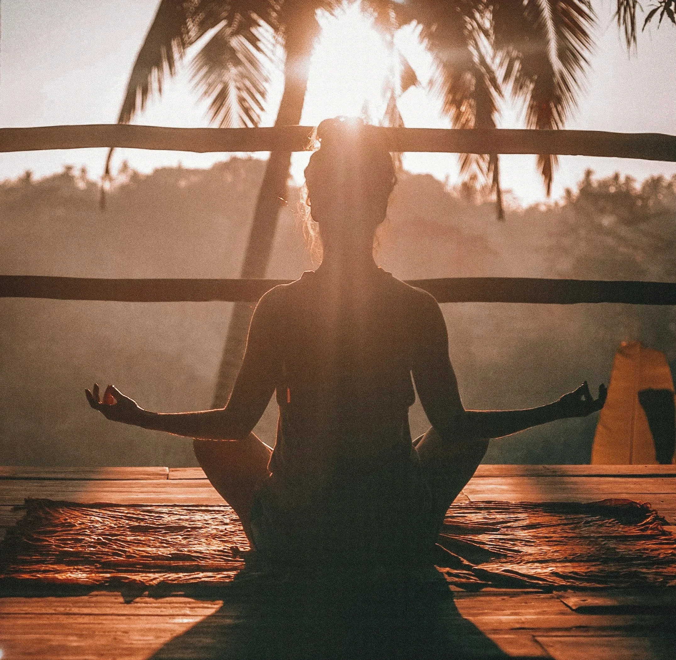 picture of a woman from behind meditating in a tropical place.