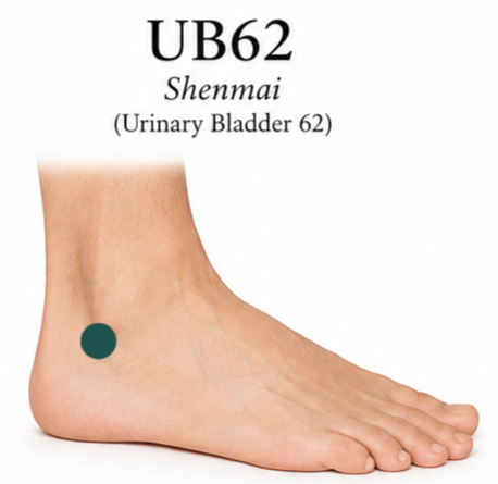 Picture of a foot with a green dot near the lower lateral malleolus, showing location of acupuncture point Urinary Bladder 62.