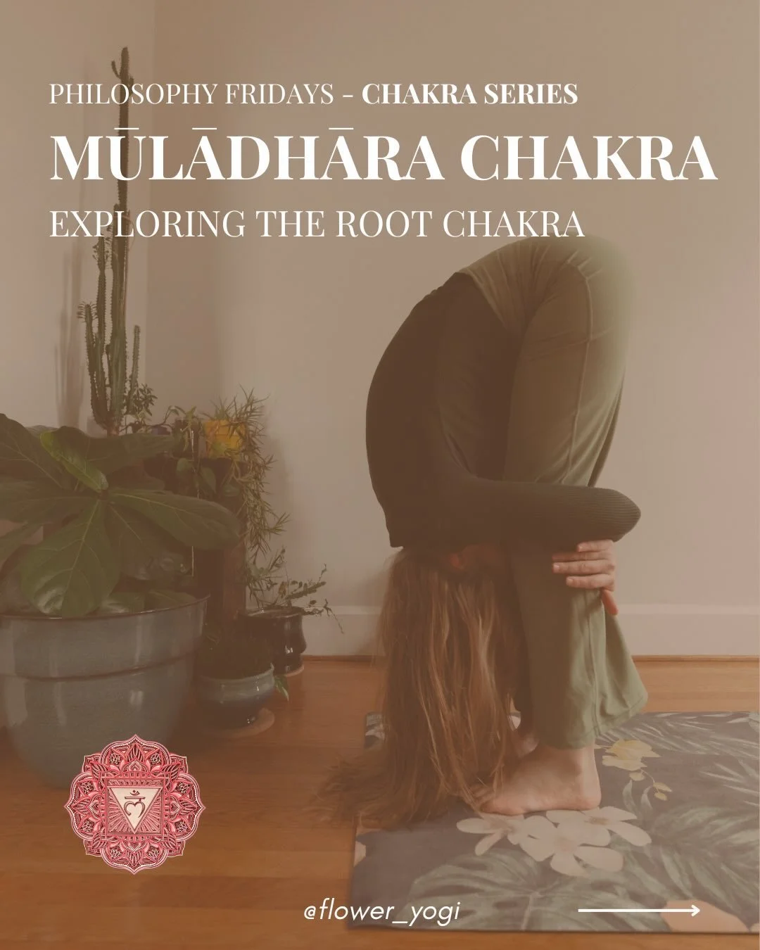 Excited to kick off a new *mini* series within philosophy Fridays, with a chakra series. The chakras are energy centers in the body, while there are many more, yoga focuses on the 7 main chakras running up the length of the spine.

Mūlādhāra relates 