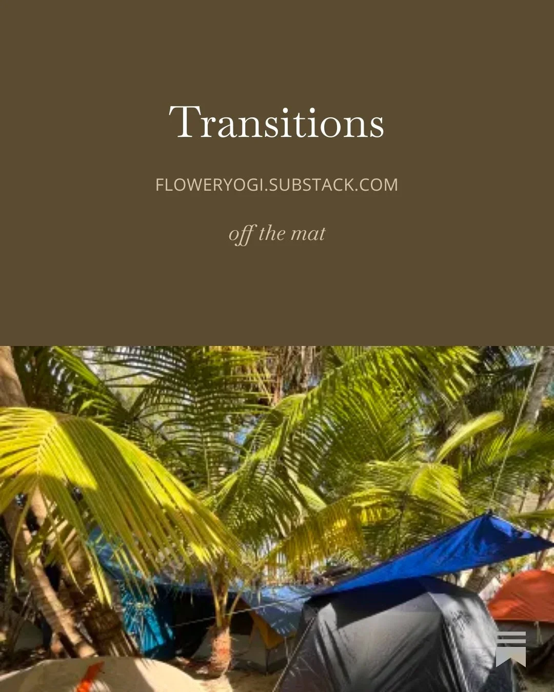 A scene of tropical camping with tents and lush green palm trees.