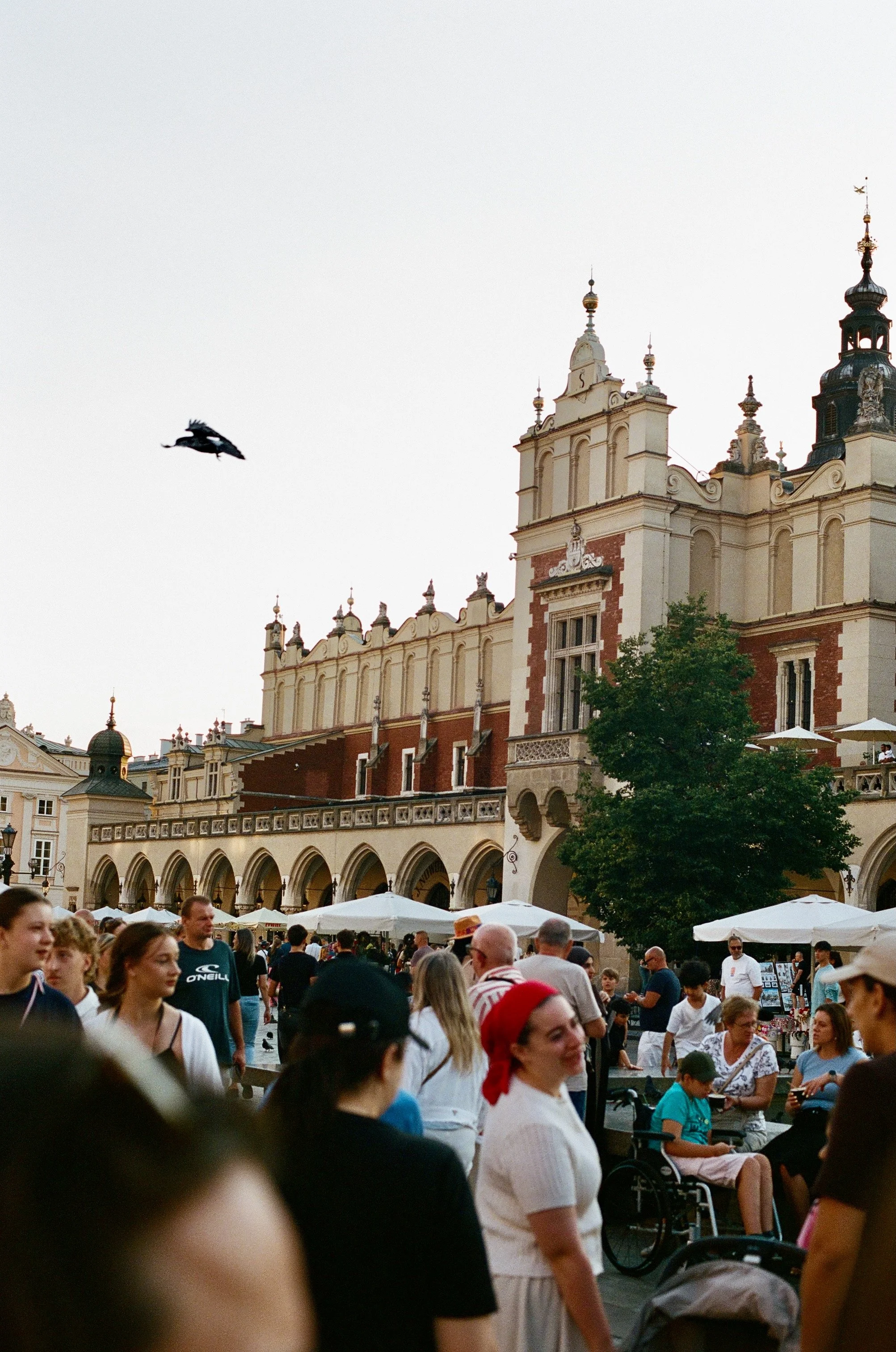 poland - polska