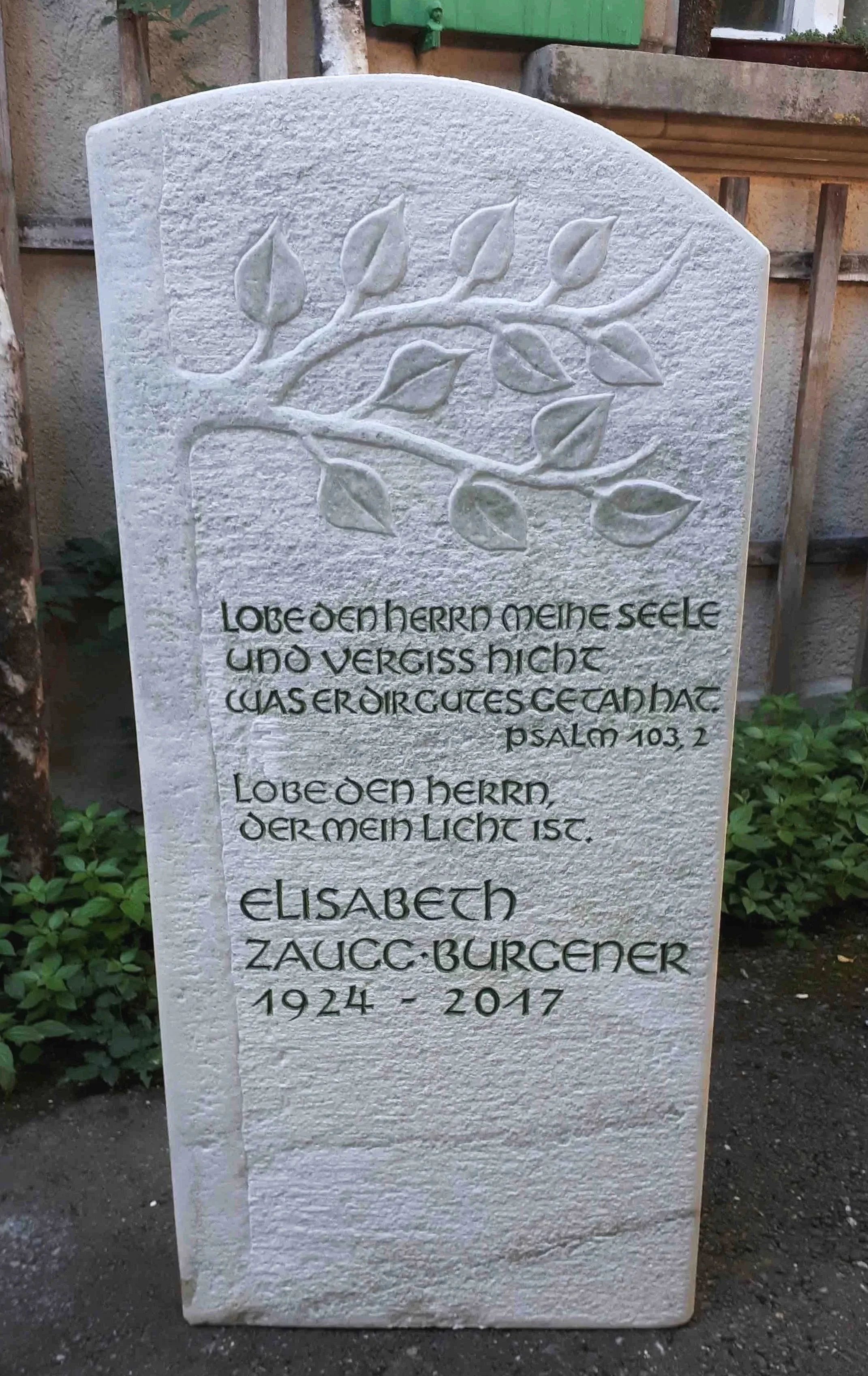 Material: Verde Spluga Gneis, Norditalien