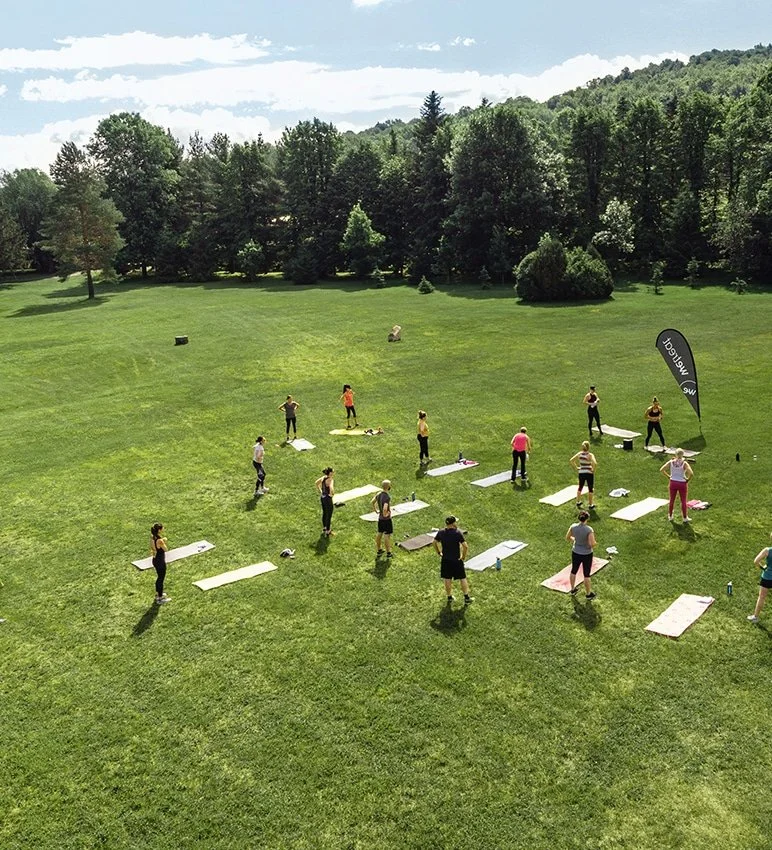 Retreat_brome_drone-15-2.jpg