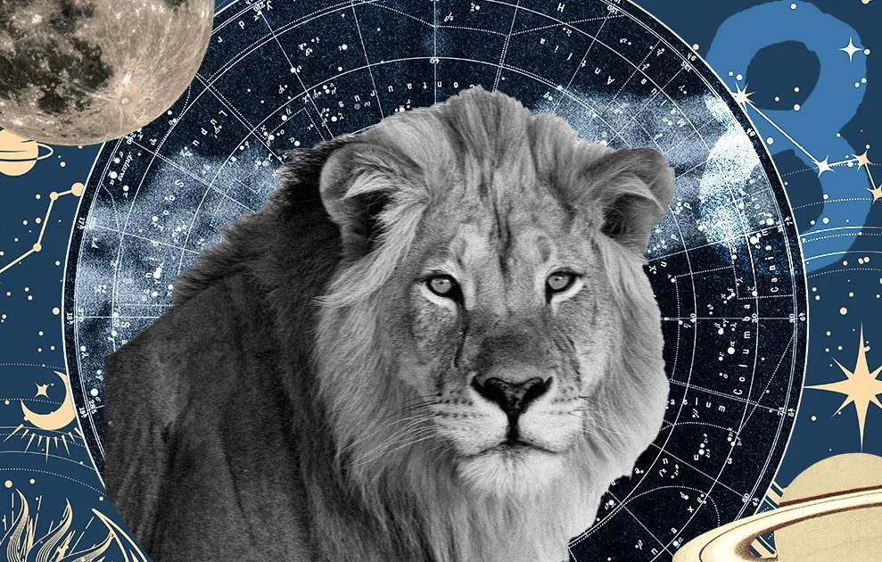📹 Lion’s Gate – The Imprint cross-quarter day