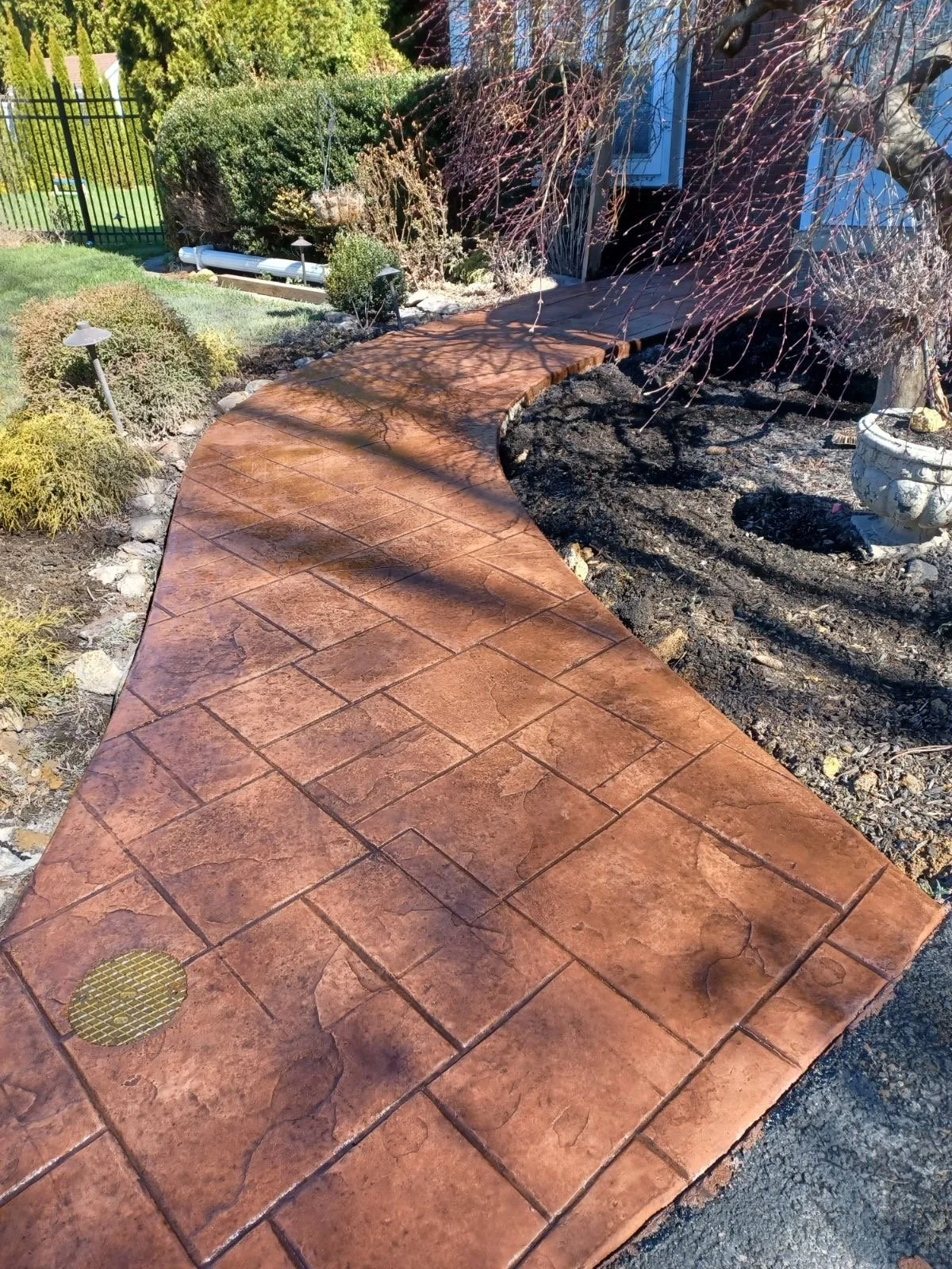 Curved cement walkway made to look like stamped concrete with a brick pattern in a garden with shrubs, trees, and a small drain grate.