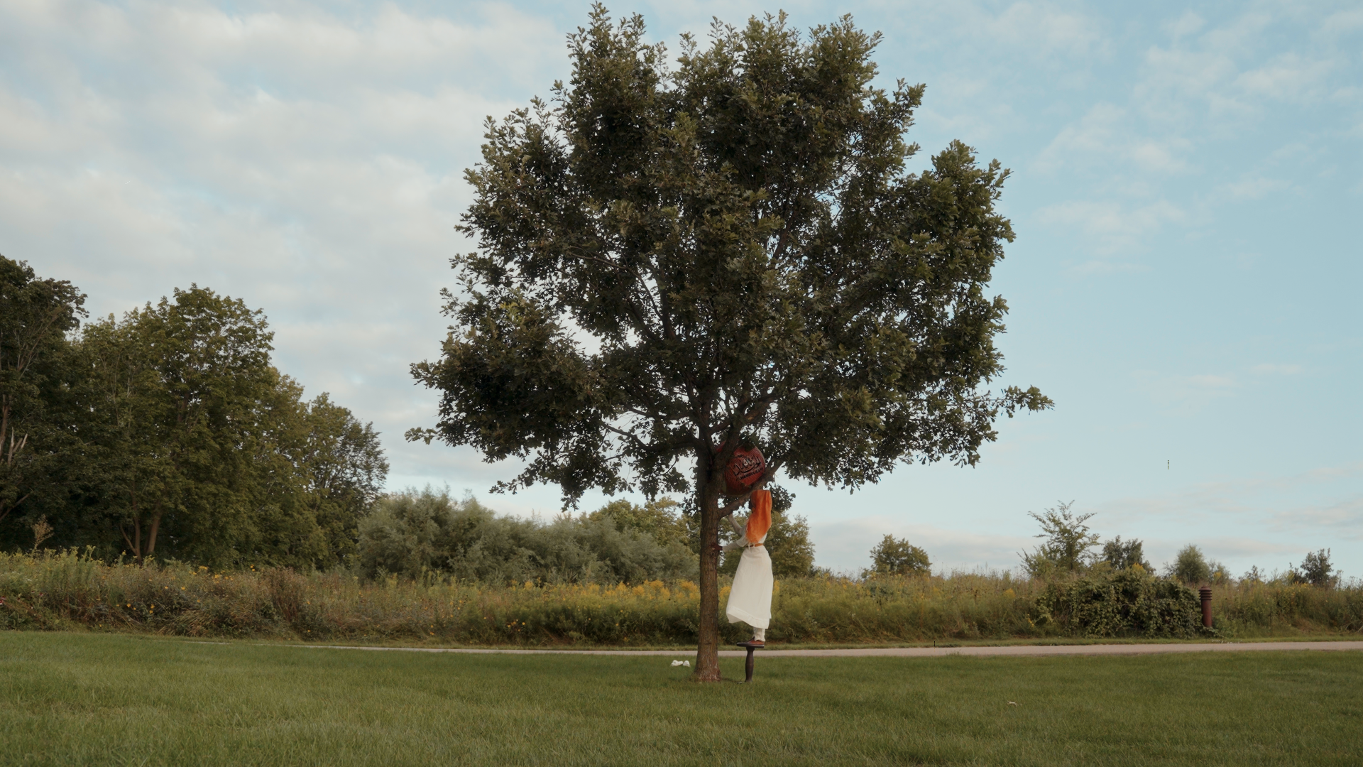 A person with red hair wearing a white dress standing under a large green tree with balloons hanging from the branches, on a grassy field with a line of trees and bushes in the background under a partly cloudy sky.