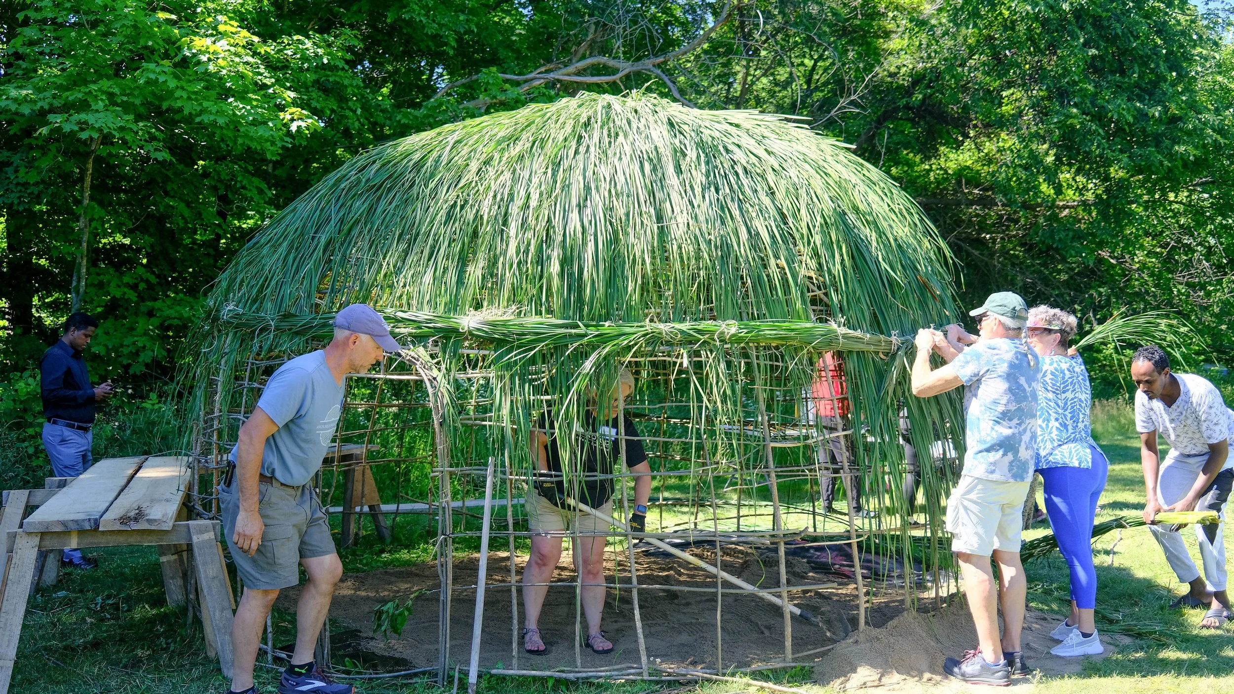 A group of people working together to build a dome-shaped structure using long grass or reeds in a forested outdoor area.