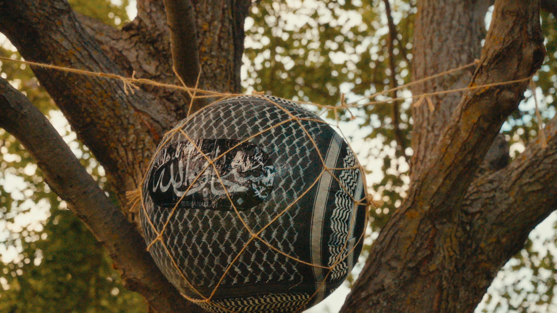 A soccer ball embedded in a tree with a net around it.