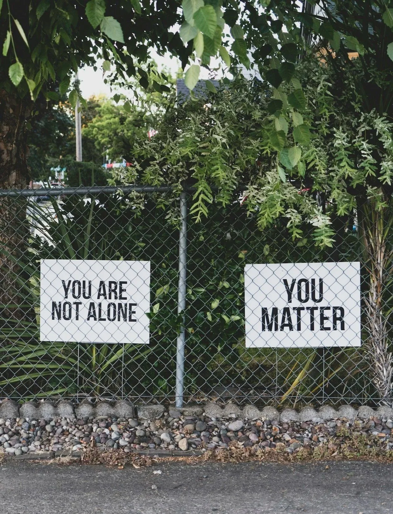 A chain-link fence with two signs saying 'You Are Not Alone' and 'You Matter,' surrounded by greenery and rocks at the base.