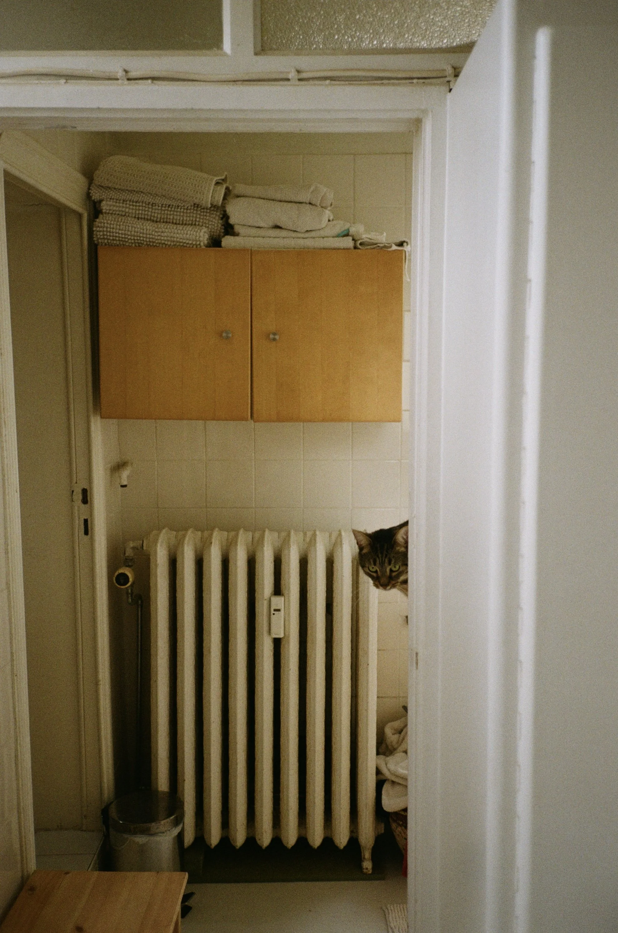 George - 2024 (Brussels)